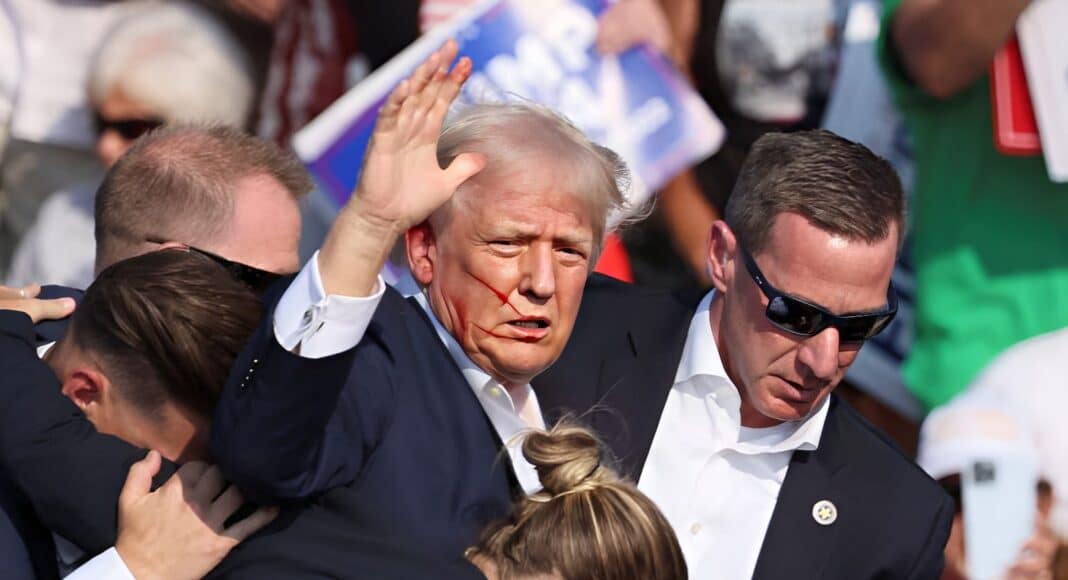 Donald Trump Firing