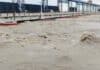 Bihar Flood: बिहार की नदियों के जलस्तर में उतार-चढ़ाव के बीच खोले गए कोसी बराज के 19 फाटक, डेंजर लेवल के नजदीक गंगा Bihar Flood