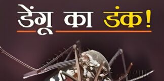 बिहार में डेंगू का कहर