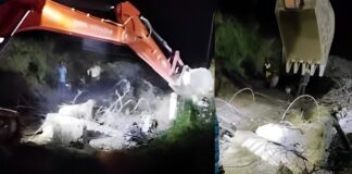 Bihar Bridge Collapsed