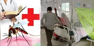 Dengue in Bihar: बिहार के पटना में एक दिन में डेंगू के मिले 90 मरीज, बुखार आने पर PMCH के डॉक्टर ने ये कहा Dengue in Bihar
