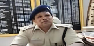 IPS अंबर लकड़ा