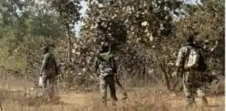 Chhattisgarh Police Encounter: छत्तीसगढ़ में सुरक्षा बलों की बड़ी कार्रवाई, मुठभेड़ में 14 नक्सली ढेर Chhattisgarh Police Encounter