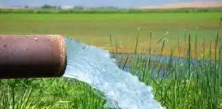 Bihar News: बिहार के भागलपुर में सिंचाई व्यवस्था पर खर्च होंगे 142 करोड़, लहलहाएंगे किसानों के फसल Bihar News