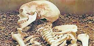 Smuggling: भारत-नेपाल सीमा पर 38 मानव खोपड़ी के साथ एक गिरफ्तार, जांच में जुटी पुलिस भारत-नेपाल सीमा पर कंकाल तस्करी