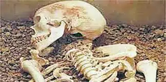 Smuggling: भारत-नेपाल सीमा पर 38 मानव खोपड़ी के साथ एक गिरफ्तार, जांच में जुटी पुलिस भारत-नेपाल सीमा पर कंकाल तस्करी