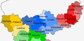 जुड़वा बच्चों के साथ जिंदा जल गई महिला