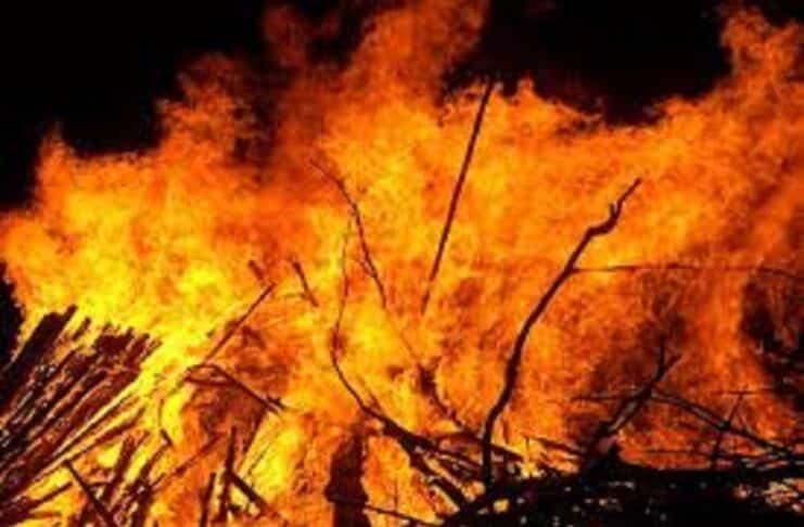 झुमरा पहाड़ के जंगल में लगी आग