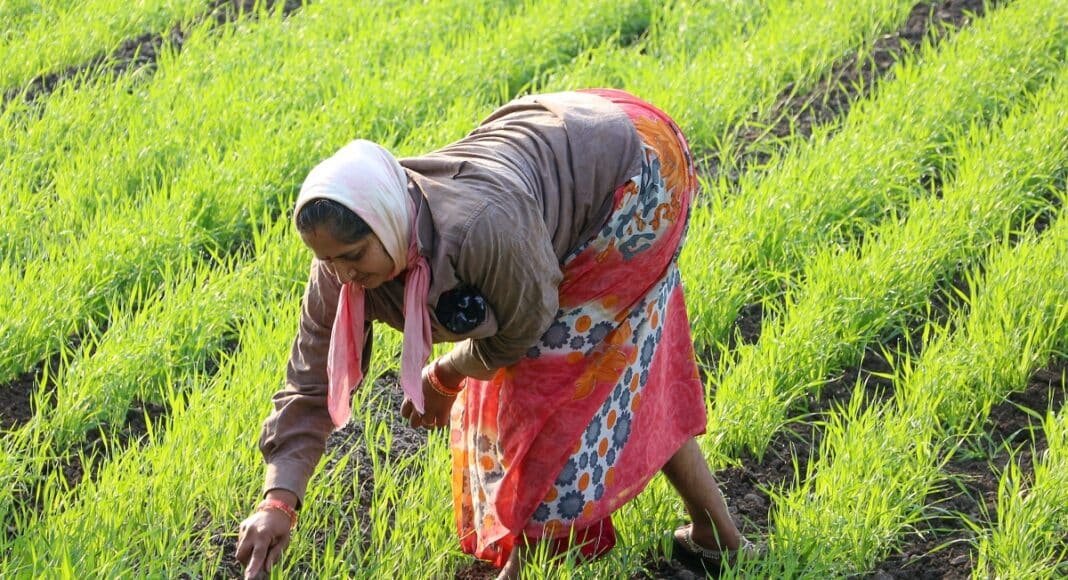 बिहार में जमीन मालिकों के लिए राहत भरी खबर.
