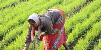 बिहार में जमीन मालिकों के लिए राहत भरी खबर.