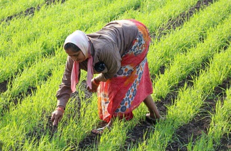 बिहार में जमीन मालिकों के लिए राहत भरी खबर.