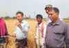 भागलपुर डीएम ने गेहूं कटनी के प्रयोग का निरीक्षण किया