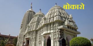 बोकारो में डीआईजी आवास के सामने तालाब में सैकड़ों मछलियां मरी