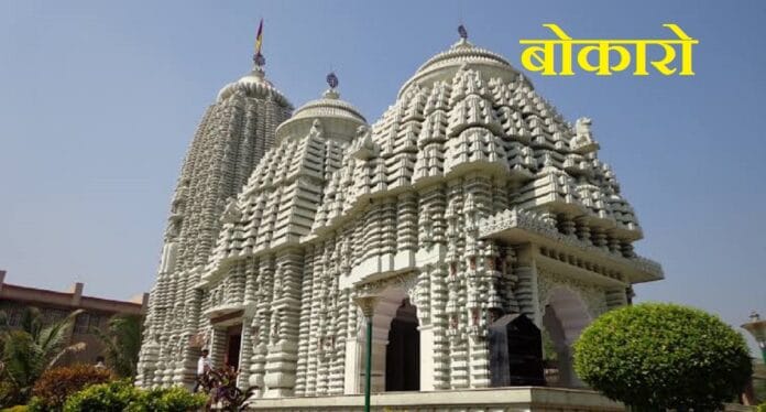 बोकारो में डीआईजी आवास के सामने तालाब में सैकड़ों मछलियां मरी