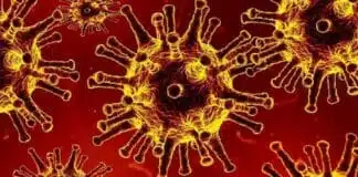 Covid 19: देश में फिर बढ़ा कोरोना का कहर; सक्रिय मामले 3395, दिल्ली में पहली मौत, बिहार में 17 केस 8 राज्यों में एक्टिव केस 6,491 पार