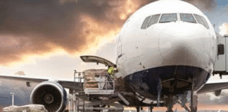 मुंबई के लिए दरभंगा से 2.5 टन शाही लीची रवाना