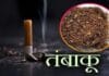 भयावह खुलासा; भागलपुर में हर साल 5 करोड़ का तंबाकू चबा रहे लोग, 38 नए कैंसर मरीज मिले! भागलपुर में हर साल 5 करोड़ का तंबाकू चबा रहे लोग