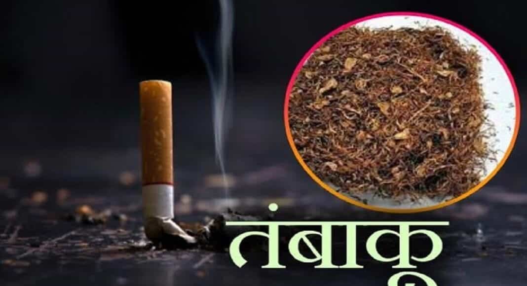 भागलपुर में हर साल 5 करोड़ का तंबाकू चबा रहे लोग