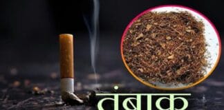 भागलपुर में हर साल 5 करोड़ का तंबाकू चबा रहे लोग