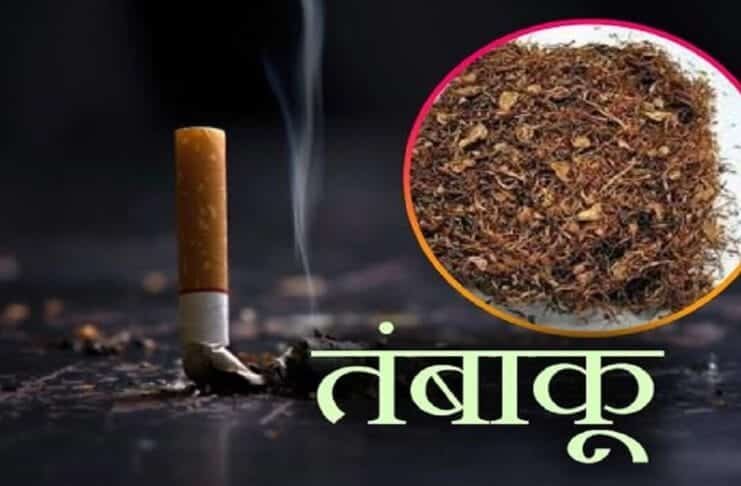 भागलपुर में हर साल 5 करोड़ का तंबाकू चबा रहे लोग