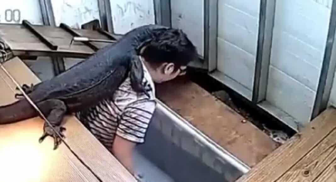 Viral Video
