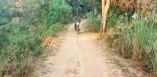 ग्रामीण सड़क