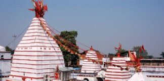 बासुकिनाथ में 2 कांवरियों की मौत से गमगीन