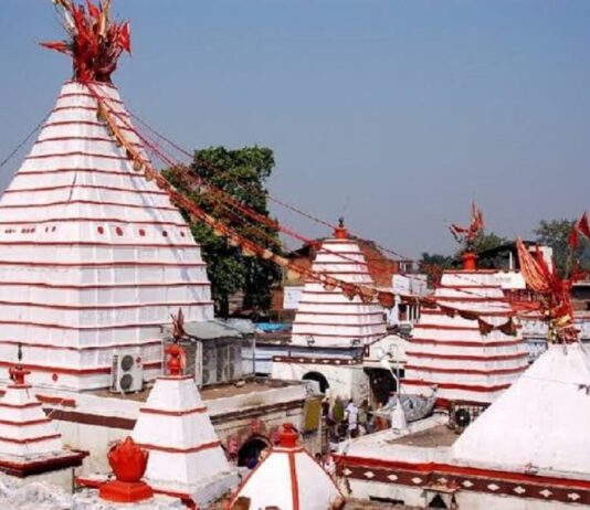 बासुकिनाथ में 2 कांवरियों की मौत से गमगीन