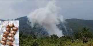 झारखंड के जंगल में माओवादियों की साजिश नाकाम