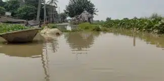 Bhagalpur News: गंगा के पानी ने उजाड़ी खेती, भागलपुर के किसान बोले–अब बस मुआवजा चाहिए