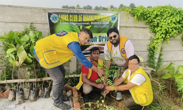 लायंस क्लब ने बढ़ाया कदम, 50 पौधे लगाए