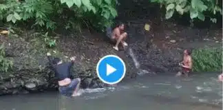 Viral Video: जंगल में नहा रहे लड़के के पीछे आ गया विशाल सांप, पल भर में मस्ती का माहौल बना दहशत पल भर में मस्ती का माहौल बना दहशत