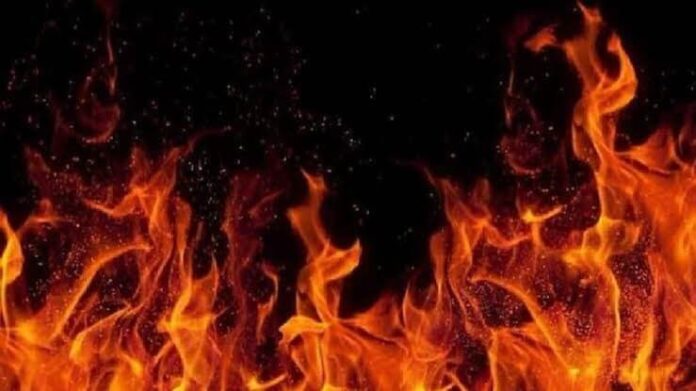 किसानों की 10 बीघा धान की फसल जलकर खाक