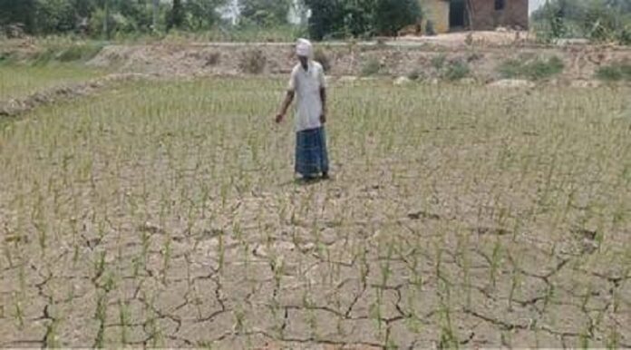 बिहार के 22 जिलों में अभी भी बारिश कम