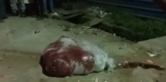 Bhagalpur: थाने के सामने बोरे में शव होने की अफवाह, खुलते ही निकले मुर्गियों के पंख थाने के सामने बोरे में शव होने की अफवाह