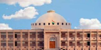 राजस्थान हाई कोर्ट ने आवारा कुत्तों के खिलाफ सख्ती दिखाई, तत्काल कार्रवाई के दिए निर्देश Rajasthan High Court