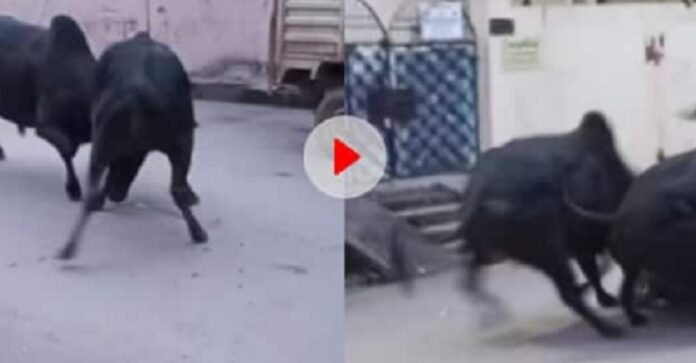 स्कूटी समेत हवा में उछली लड़की