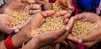 अब नहीं चलेगी राशन डीलरों की चालबाजी
