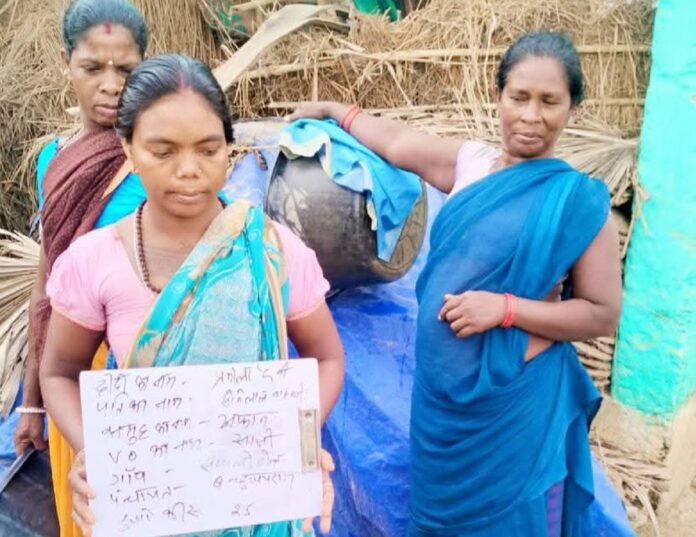 चूजों का वितरण