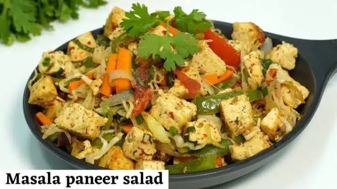 Paneer Salad Recipe Paneer Salad Recipe