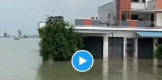 Watch Video: पंजाब में 37 साल बाद सबसे विनाशकारी बाढ़, 30 से अधिक मौतें और लाखों प्रभावित पंजाब में 37 साल बाद सबसे विनाशकारी बाढ़