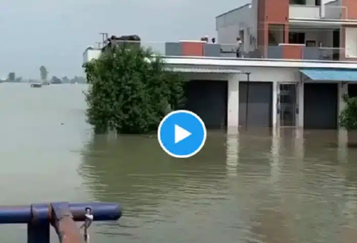 Punjab Floods Videos पंजाब में 37 साल बाद सबसे विनाशकारी बाढ़