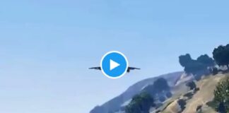 सड़क पर क्रैश होते विमान का डरावना वीडियो