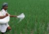 Fertilizers Subsidy: किसानों के लिए बड़ी राहत, खाद पर 38 हजार करोड़ की सब्सिडी को मंजूरी