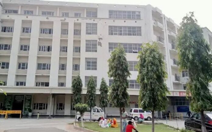 अल फलाह विश्वविद्यालय