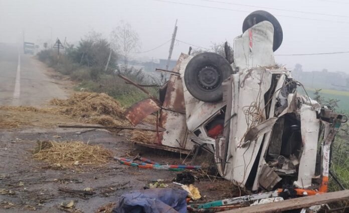 मवेशी लदी पिकअप पलटी