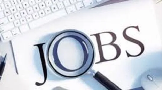 JOB बिहार के इस जिले में विकास मित्र भर्ती प्रक्रिया शुरू