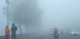 Bihar Weather Alert : बिहार में बढ़ी सर्दी की मार, दो दिन तक Cold Day और घने कोहरे का खतरा Jharkhand Weather