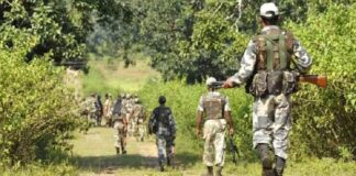 सुकमा के जंगलों में सुरक्षाबलों की कार्रवाई
