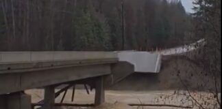 सेकेंडों में ढह गया पुल